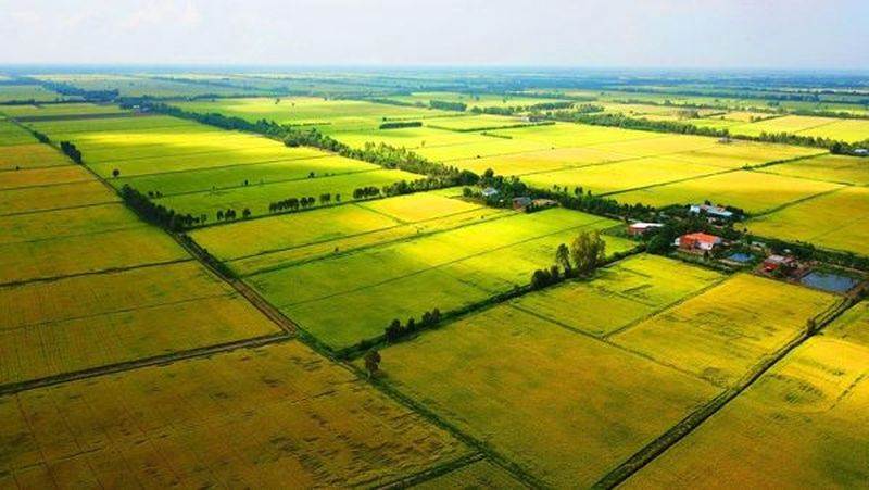 6 loại đất được thế chấp để vay tiền